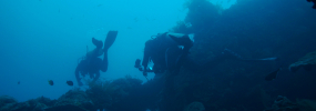 Dive Round Trip in Bali